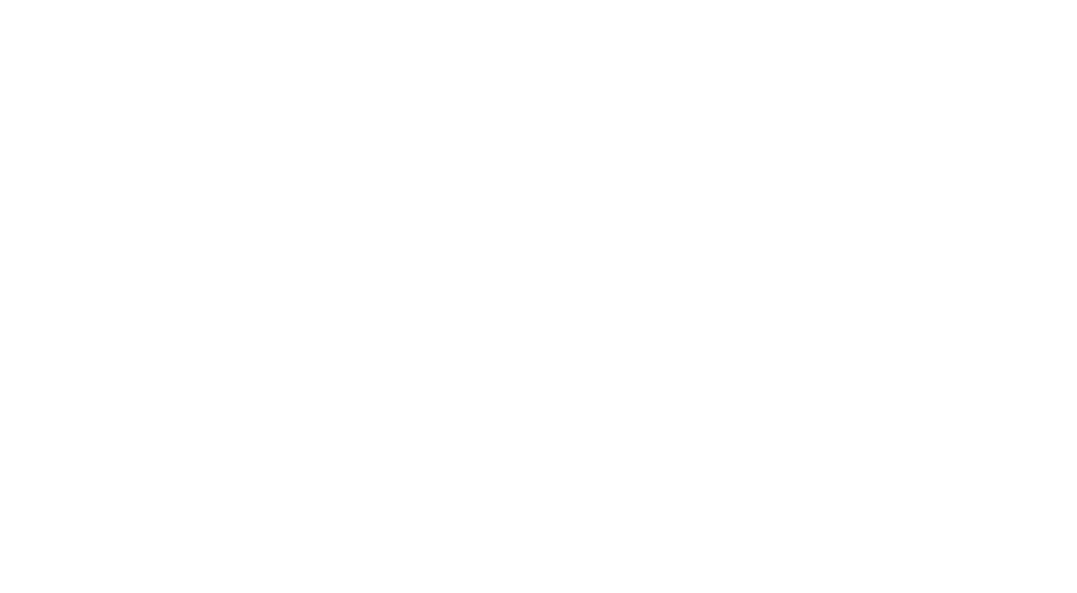 Amiri logo