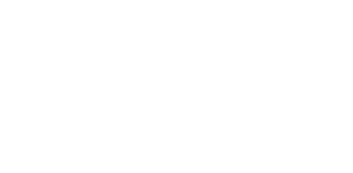 Valentino logo